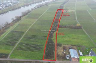 Gewerbeimmobilie kaufen in 54487 Wintrich, Kapitalanlage Wald-/Wiesenfläche mit 4631m² in 54487 Wintrich an der Mosel