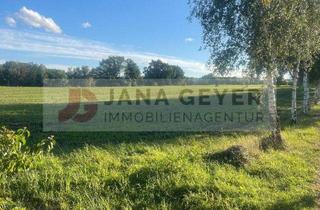 Grundstück zu kaufen in Kurpromenade, 06905 Bad Schmiedeberg, KURPARK BAD SCHMIEDEBERG * GROSSZÜGIGES BAUGRUNDSTÜCK (B/SO) * DIREKT AM KURPARK von BAD SCHMIEDEBERG