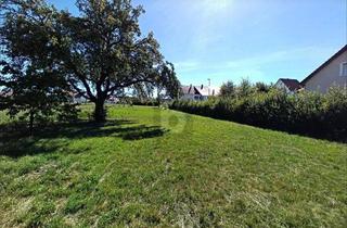 Anlageobjekt in 72474 Winterlingen, NATUR PUR MIT 1.770 QM FREIRAUM