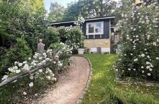 Haus kaufen in 66606 St. Wendel, Sankt Wendel - LANDHAUS IN SANKT WENDEL STADT ZU VERKAUFEN