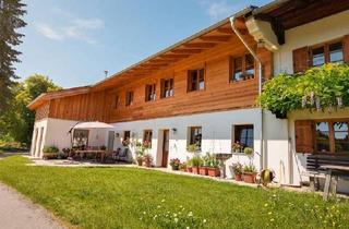 Wohnung mieten in 83737 Irschenberg, Ländlich und in idyllischer Alleinlage - 4 Zi. Maisonette-Wohnung am Irschenberg zu vermieten