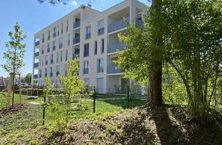 Wohnung mieten in Müllerstr. 20, 88045 Friedrichshafen, Lichtdurchflutete 3-Zimmer-Wohnung
