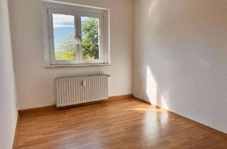 Wohnung mieten in Schleizer Straße 61, 07937 Zeulenroda-Triebes, Schöne 2-Raum-Wohnung zu vermieten