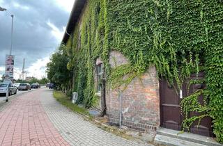 Wohnung mieten in Grimmer Straße 87, 17489 Fettenvorstadt, Wohnen am Botanischen Garten