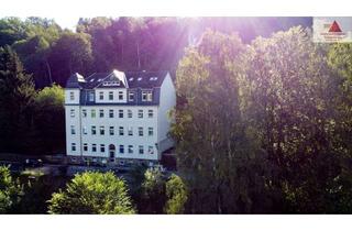 Wohnung mieten in Hans-Witten-Straße 45, 09456 Annaberg-Buchholz, 1-Raum-Wohnung mit moderner Einbauküche in ruhiger Lage von Annaberg-Buchholz!