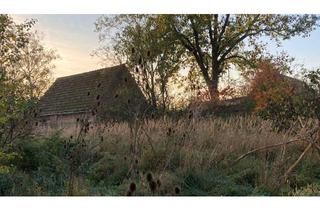Doppelhaushälfte kaufen in Jahnkeshof, 17337 Uckerland, Doppelhaushälfte mit großem, verwildertem Grundstück in der nördlichsten Uckermark