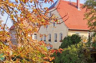 Haus kaufen in 55237 Flonheim, Freistehendes Kulturdenkmal-Juwel -Potenzial für Familien & Kreative - 2 Häuser-viele Möglichkeite