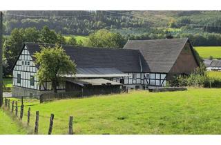 Bauernhaus kaufen in Obersalwey 18, 59889 Eslohe, Historisches Bauernhaus mit Stall und weitläufigem Grundstück in Obersalwey