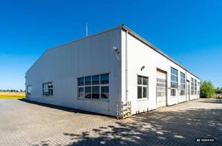 Büro zu mieten in 48324 Sendenhorst, Kalthalle mieten Sendenhorst || 1.075 m² mit Büro & Magazin || 2 Sektionaltore || ab sofort
