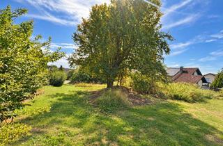 Grundstück zu kaufen in 78194 Immendingen, Großzügiges Grundstück in naturnaher Wohnlage von Immendingen-Hattingen