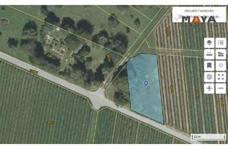 Grundstück zu kaufen in 76646 Bruchsal, Ihr Platz in der Natur: Garten- / Freizeitgrundstück. Umgebung mit Weitblick über die Rheinebene