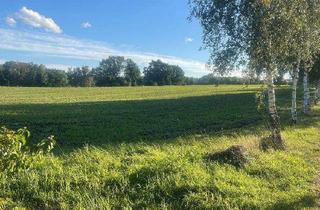 Gewerbeimmobilie kaufen in Kurpromenade, 06905 Bad Schmiedeberg, KURPARK BAD SCHMIEDEBERG * GROSSZÜGIGES BAUGRUNDSTÜCK (B/SO) * DIREKT AM KURPARK von BAD SCHMIEDE...