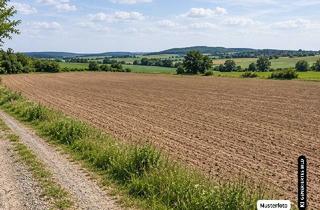 Immobilie kaufen in 26169 Neuscharrel, Landgrundstück Neuscharrel - Provisionsfrei zur Wunschimmobilie