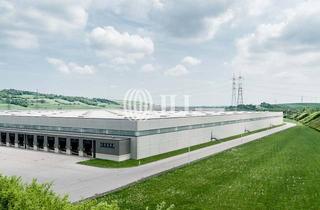 Gewerbeimmobilie mieten in 01877 Bischofswerda, Erstbezug + Neubau | bis ca. 40.000 m² Industriehallen | Logistik | moderner Standard