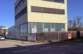 Gewerbeimmobilie kaufen in Wilhelmstr. 47, 74366 Kirchheim, Attraktive Gewerbeimmobilie mit Hallenkränen, großzügigen Flächen und erstklassiger Verkehrsanbindun