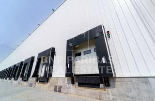 Gewerbeimmobilie mieten in 50354 Hürth, Lager- Logistikfläche Hürth | ebenerdig & Rampe | Hallenhöhe 12 m UKB | BNPPRE
