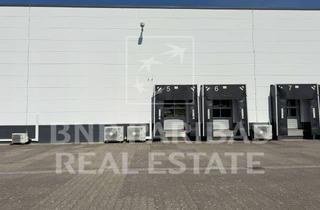 Gewerbeimmobilie mieten in 50321 Brühl, Lager- Logistikfläche | ebenerdig & Rampe | Hallenhöhe 12 m UKB | Flexibel | BNPPRE