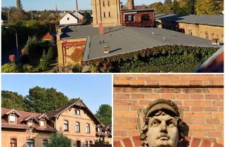 Wohnung mieten in 08451 Crimmitschau, 3 Raumwohnung im grünen Denkmal