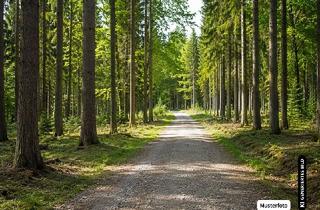 Grundstück zu kaufen in 15711 Königs Wusterhausen, Bungalowruine in Zeesen - Ihre Chance ohne Maklerprovision!
