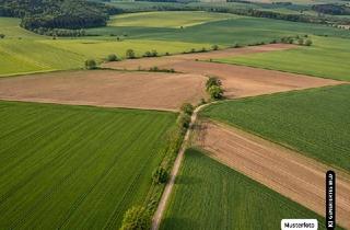 Immobilie kaufen in 07589 Lindenkreuz, Land- und Forstgrundstück - Ihre Chance auf den Immobilienkauf – provisionsfrei!