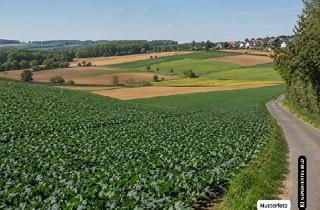 Grundstück zu kaufen in 97215 Uffenheim, Gewerbegrundstück in Uffenheim - Besondere Immobilienchance ohne Provision