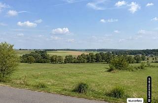 Grundstück zu kaufen in 38170 Warle, Unbebautes Grundstück in Warle - Eine Gelegenheit für Käufer ohne Maklerprovision
