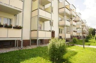 Wohnung mieten in Sachsenring 47, 09127 Chemnitz, Frei ab 1.1.27 - Wohnen am Heimgarten im 1.OG - Schlafniesche / Balkon an der Küche !