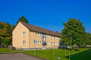 Wohnung mieten in Zum Hillenwasser 3a, 33014 Bad Driburg, Ab dem 01.11.2026 möglich