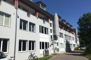 Wohnung mieten in Am Torhaus, 79379 Müllheim, Hübsche 2 Raum Dachgeschosswohnung in Müllheim