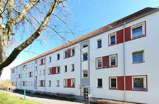 Wohnung mieten in Mommsenstr. 22, 08060 Marienthal, Super gemütliches Nest für kleines Budget in Marienthal