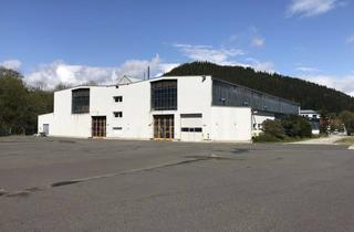 Gewerbeimmobilie mieten in 99885 Luisenthal, Produktions- und Lagerhalle mit Krananlagen 20t