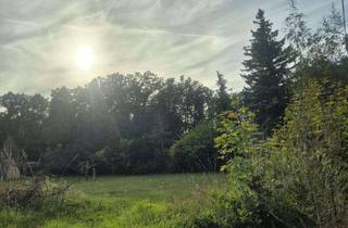 Grundstück zu kaufen in 01445 Radebeul, Großes Grundstück in Radebeul – Natur, Ruhe & viel Potenzial