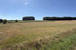 Gewerbeimmobilie kaufen in Nähe Friesenhausen, 97491 Aidhausen, Diverse Landwirtschaftsflächen von rd. 352.000 m² im Umfeld von Friesenhausen als Paketlösung