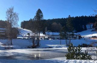 Wohnung kaufen in 79737 Herrischried, SEEBLICK, MÖBLIERT & FERIENTAUGLICH