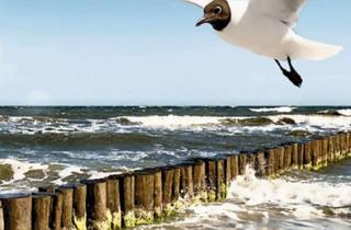Wohnung mieten in Bäderstraße 33 d, 17406 Usedom, Leben wo alle Urlaub machen wollen, schöne 4-Raum Wohnung sucht neue Familie ! NEU