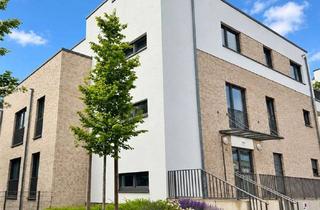 Penthouse mieten in 31582 Nienburg, Neuwertige 2-Zimmer-Penthouse-Wohnung mit großzügiger Dachterrasse in Nienburg!