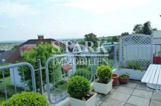 Wohnung mieten in 65812 Bad Soden, **Helle 3 Zimmer-DG Wohnung mit spektakulärem Skylineblick & Südbalkon**