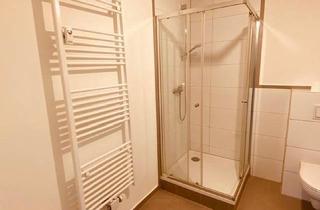 Wohnung mieten in 91465 Ergersheim, Apartment Studio in ruhiger Lage, möbliert, inklusive Einbauküche