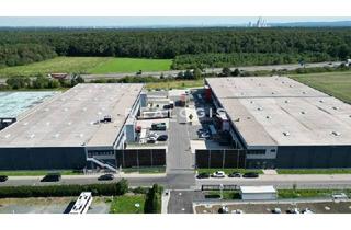 Gewerbeimmobilie mieten in 63110 Rodgau, Im Alleinauftrag: Bis zu ca. 11.200 qm Hallenfläche zu vermieten!