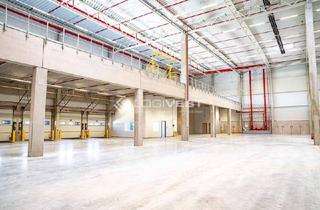 Gewerbeimmobilie mieten in 76149 Neureut, 40.000 m² | 12 m UKB | Rampentore | WGK-Folie | Karlsruhe