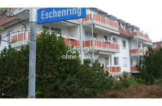 Wohnung mieten in Eschenring 36, 04828 Bennewitz, Schöne Zwei Zimmer Wohnung