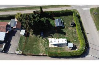 Lager kaufen in 89356 Haldenwang, Attraktives Baugrundstück mit viel Gestaltungsspielraum in Haldenwang-Konzenberg