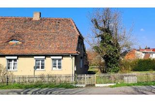 Haus kaufen in 06317 Seegebiet Mansfelder Land, Seegebiet Mansfelder Land - Die charmante, ältere DHH, in sehr schöner und urbaner Lage