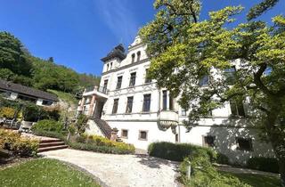 Wohnung kaufen in 56841 Traben-Trarbach, Traben-Trarbach - Trarbach an der Mosel voll möblierte Wohnung in Jugendstil-Villa mit herrlicher Sicht ins Grüne