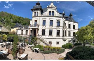 Villa kaufen in 56841 Traben-Trarbach, Traben-Trarbach - 3 Eigentumswohnungen in renovierter Jungendstil-Villa nur 10 Minuten bis zur Moselpromenade