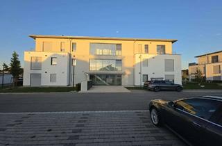 Wohnung mieten in Rosenweg 14, 88457 Kirchdorf, 2 Zimmer- Wohnung in Kirchdorf
