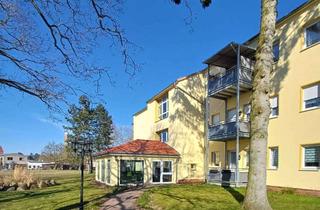 Wohnung mieten in Carl-Von-Ossietzky Str. 1h, 18507 Grimmen, Wunderschöne, barrierefreie 2-Raumwohnung mit Parkanlage und großem Aufenthaltsraum