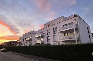 Wohnung mieten in Kettelerstraße 17, 33378 Rheda-Wiedenbrück, Wiedenbrück: helle 3Zi-Wohnung mit großem Südbalkon, Einbauküche, Aufzug