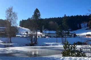 Wohnung kaufen in 79737 Herrischried, SEEBLICK, MÖBLIERT & FERIENTAUGLICH