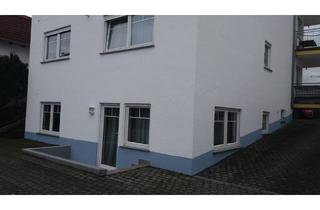 Wohnung mieten in 69207 Sandhausen, Sandhausen - Helle 2 Zimmerwohnung mit sep. Eingang zur Gartenseite